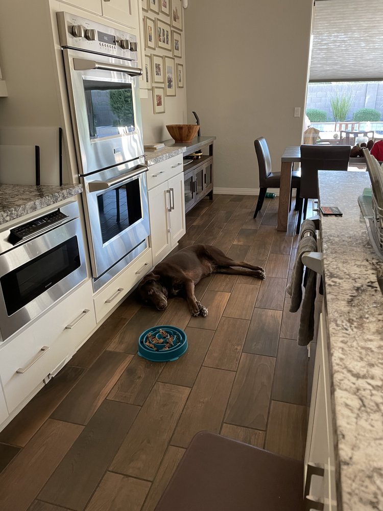 FIND YOUR INNER DOG TRAINING Updated September 2024 25 Photos