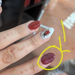 Pearl Nails and Spa - The nail is circled of what they did