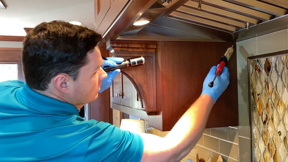 PENINSULAR PEST CONTROL with 45 real customer photos Updated August