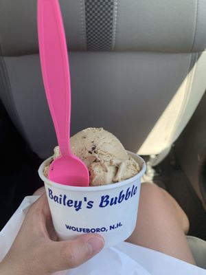 Bailey's Bubble by null