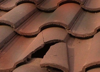 Slide of CityProPainting