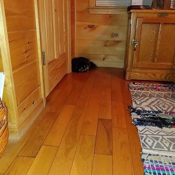 Above the Rest Luxury Cabins - the itty bitty dog hiding during a thunderstorm - Vacation Rentals Near Me - Blue Ridge, Georgia Above the Rest Luxury Cabins - the itty bitty dog hiding during a thunderstorm - Vacation Rentals Near Me - Blue Ridge, Georgia