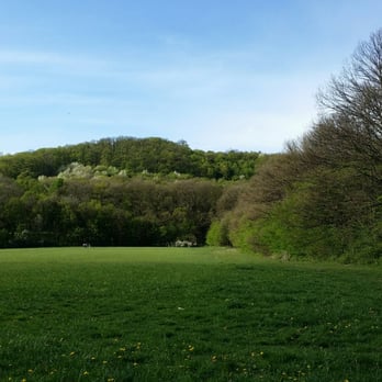 Stadtwanderweg 8 - Hiking Near Me - Vienna, 9