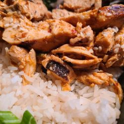 Balanced Body Foods - Korean BBQ Chicken
