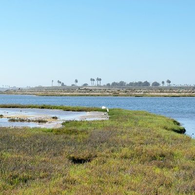 Bolsa Chica Ecological Reserve by null