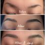 Photo of Tran's SignatureBrows & Permanent Makeup