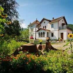 Stary Dwór Pokoje Gościnne - Dwór Szalaya - widok od ogrodu