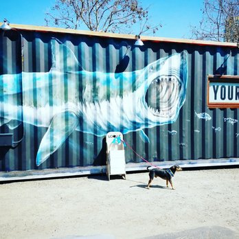 Quartyard - Dog friendly area is in abundance - Venues & Event Spaces Near Me - San Diego, California Quartyard - Dog friendly area is in abundance - Venues & Event Spaces Near Me - San Diego, California