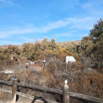 Cleo's Ferry Museum - Replicas of African animals. - Museums Near Me - Melba, Idaho Cleo's Ferry Museum - Replicas of African animals. - Museums Near Me - Melba, Idaho