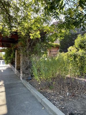 Robert Sinskey Vineyards by null