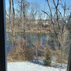 Best Western Plus Kingston Hotel and Conference Center - View from our room