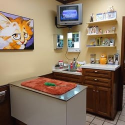Briarwood Animal Hospital - Our Special cat exam room