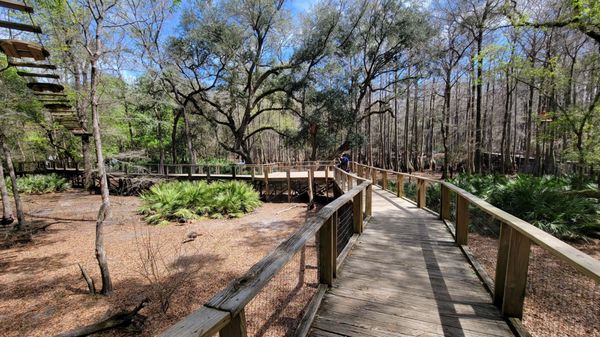 Tallahassee Museum by null