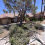 Photo of Ramon's Yard Maintenance