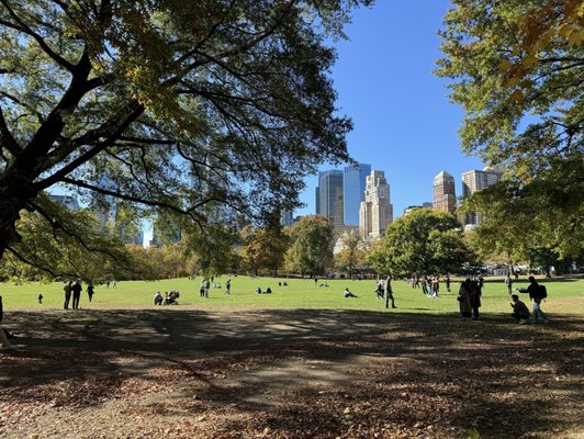 Sheep Meadow by null