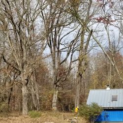 Seamster Tree Service
