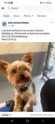 Safe Animal Shelter Middleburg