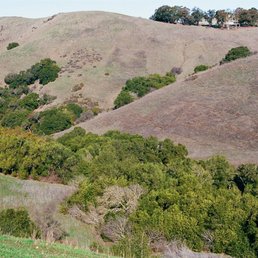 Maple Canyon - View of Maple Canyon from the upper part of the southern slope above this canyon. - -Tom Brody - Hiking Near Me - Hayward, California