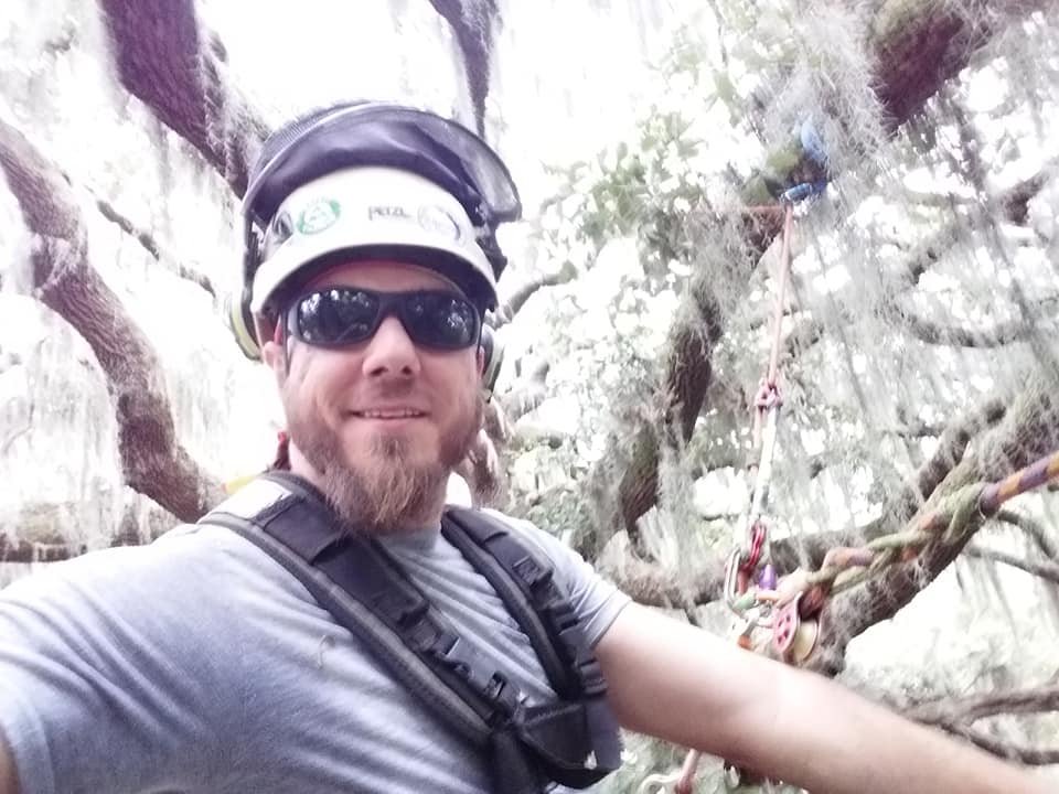 Evergreen Tree Service - tree service in Savannah, GA