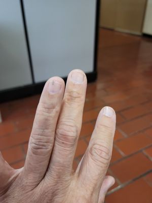 Zuckerberg San Francisco General Hospital and Trauma Center by null