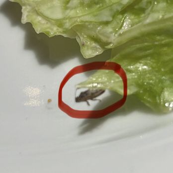 LongHorn Steakhouse - BUG - Barbeque Near Me - Paducah, Kentucky