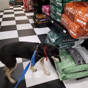 bark avenue holistic pet supplies