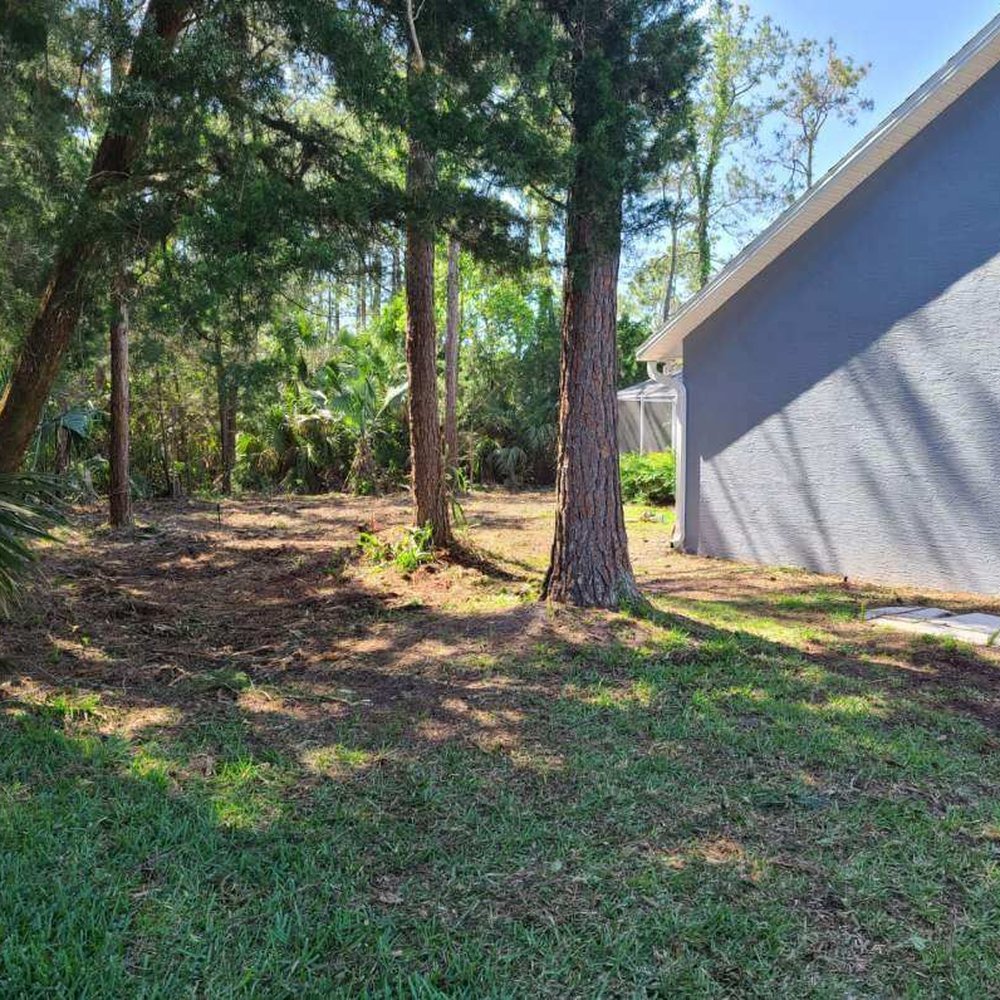 Southern Cuts Tree Service - Tree Services Near Me Southern Cuts Tree Service - Tree Services Near Me