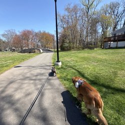 spring lake park