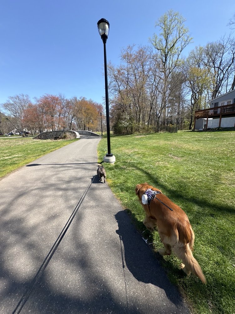 spring lake park Image