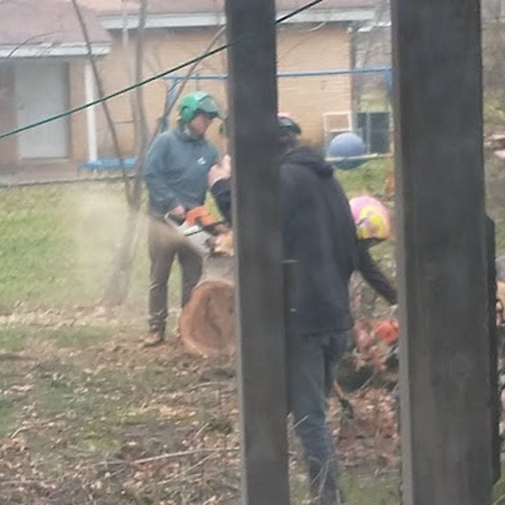 The team consults with the best way to move tree sections out of the backyard The team consults with the best way to move tree sections out of the backyard