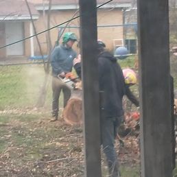 The team consults with the best way to move tree sections out of the backyard