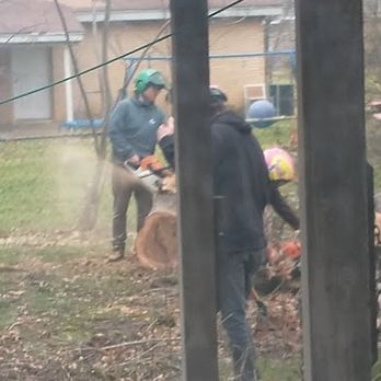 Treehugger Tree Service - The team consults with the best way to move tree sections out of the backyard - Tree Services Near Me - Arlington, Texas
