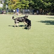 Photo of Schuylkill River Dog Run - Philadelphia, PA, United States. Play area with turf