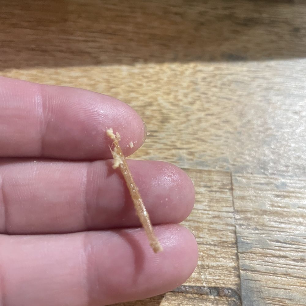 Mindful Eats - Found this gem in our food, could have gotten really hurt if attempted to swallow or bite in our mouth. - Pop-Up Restaurants Near Me Mindful Eats - Found this gem in our food, could have gotten really hurt if attempted to swallow or bite in our mouth. - Pop-Up Restaurants Near Me