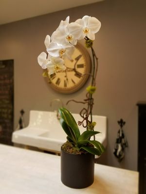 Fleur de Lis Florist by null