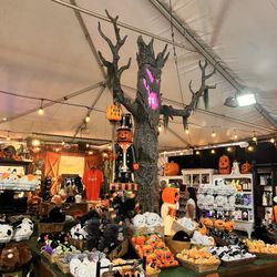Live Oak Canyon Pumpkin Patch and Christmas Tree Farm