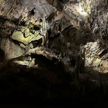 Penn's Cave & Wildlife Park - Historical Tours Near Me - Centre Hall, Pennsylvania Penn's Cave & Wildlife Park - Historical Tours Near Me - Centre Hall, Pennsylvania