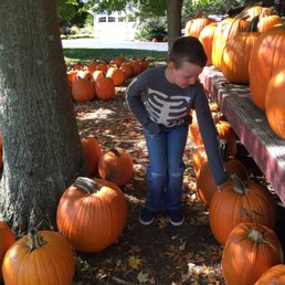 Best pumpkins around Best pumpkins around