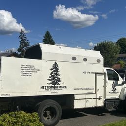 Business Truck Business Truck