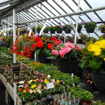 Spring Valley Nurseries - Nurseries & Gardening Near Me - Doylestown, Pennsylvania