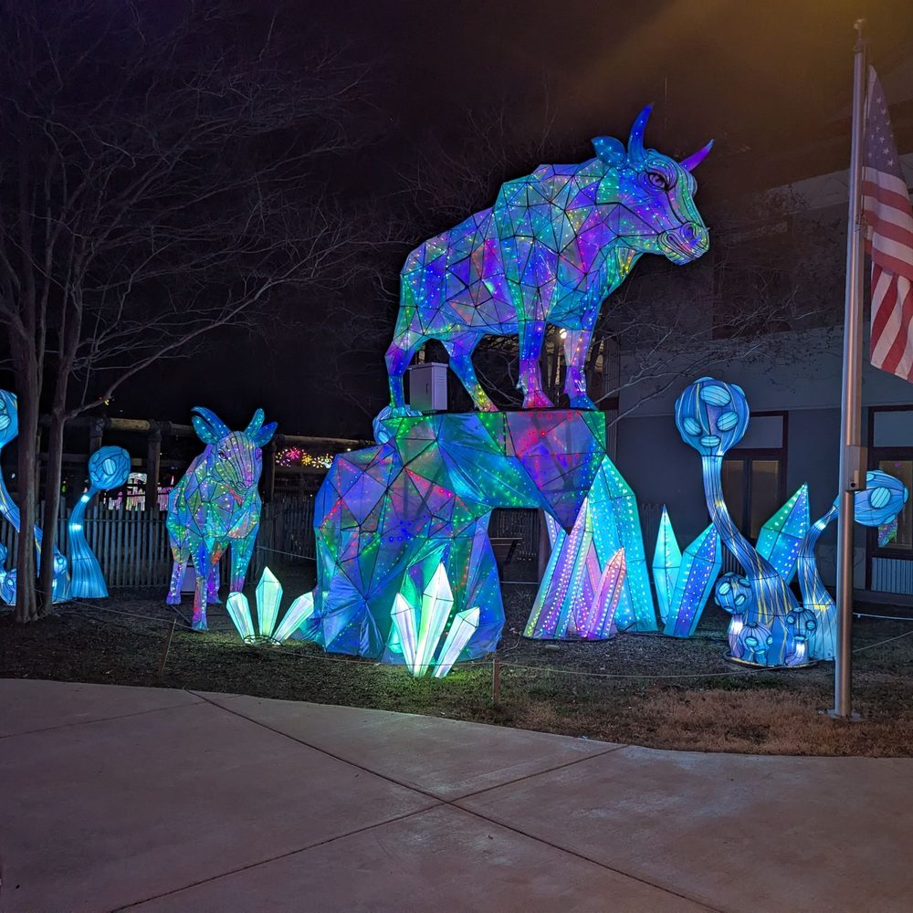 Chattanooga Zoo At Warner Park - Amusement Parks Near Me - Chattanooga, Tennessee