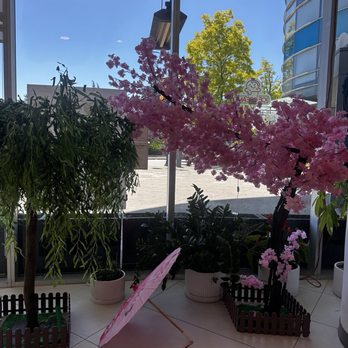 Hazukido - Bakeries Near Me - Richmond, British Columbia