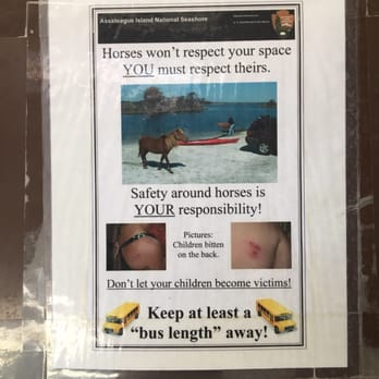 Assateague State Park - In case you were wondering what happens when you get bit... - Parks Near Me - Berlin, Maryland