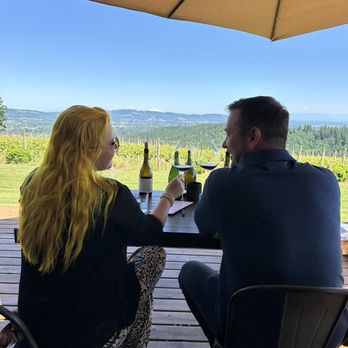 A Vineyard Wine Tour - Wine Tours Near Me