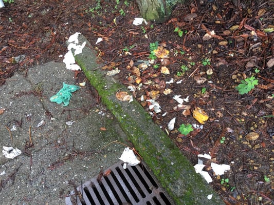 Marin Sanitary Service by null