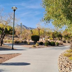 A view from the walking trail
