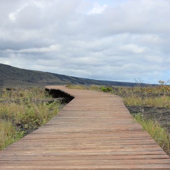 Pu'u Loa Petroglyphs - Wooden platform surrounding the petroglyphs. - Hiking Near Me - Mountain View, Hawaii Pu'u Loa Petroglyphs - Wooden platform surrounding the petroglyphs. - Hiking Near Me - Mountain View, Hawaii