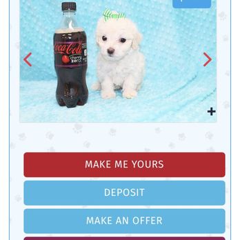 petsmart medium dog crate