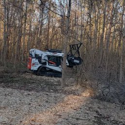 Royal Tree Service LLC - Home - Facebook