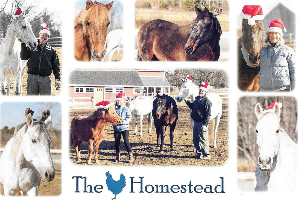 THE HOMESTEAD AT REST AND BE THANKFUL FARM Request Information 74
